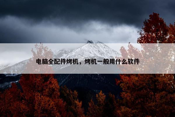 电脑全配件烤机，烤机一般用什么软件