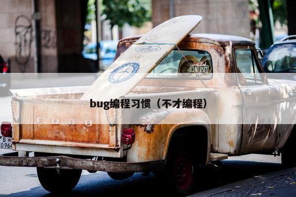 bug编程习惯（不才编程）