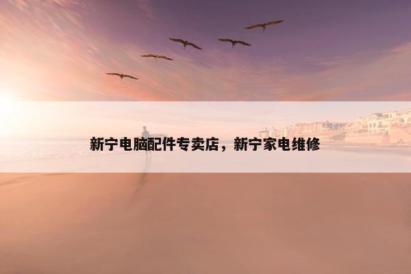 新宁电脑配件专卖店，新宁家电维修