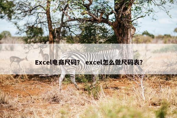 Excel电商尺码？ excel怎么做尺码表？