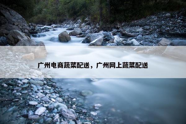 广州电商蔬菜配送，广州网上蔬菜配送