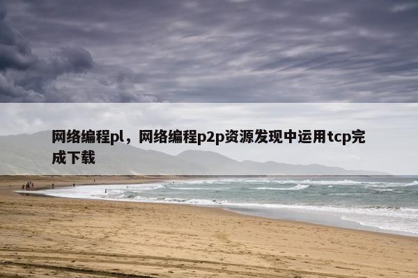 网络编程pl，网络编程p2p资源发现中运用tcp完成下载