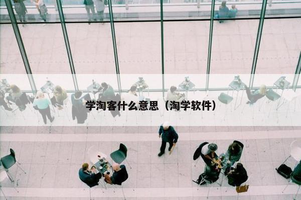 学淘客什么意思（淘学软件）