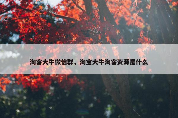 淘客大牛微信群，淘宝大牛淘客资源是什么