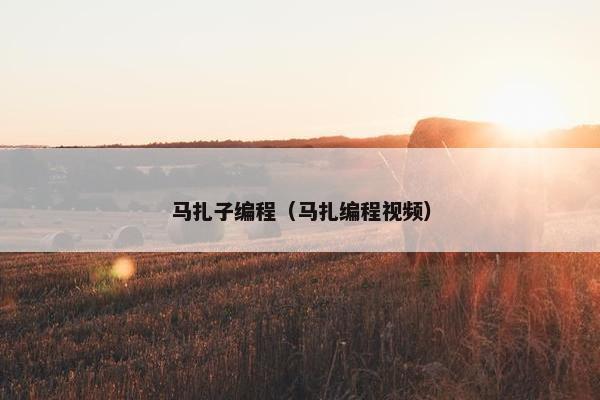 马扎子编程（马扎编程视频）