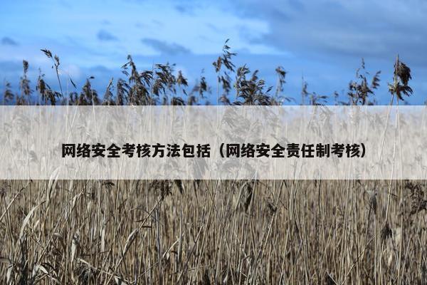 网络安全考核方法包括（网络安全责任制考核）