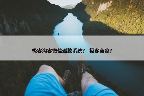 极客淘客微信返款系统？ 极客商家？