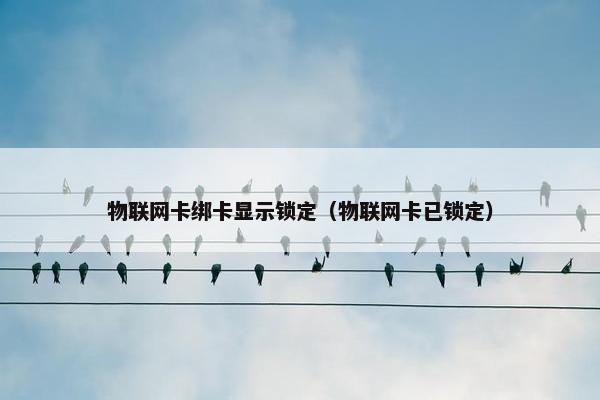 物联网卡绑卡显示锁定（物联网卡已锁定）