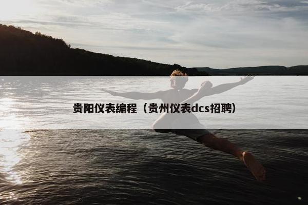 贵阳仪表编程（贵州仪表dcs招聘）