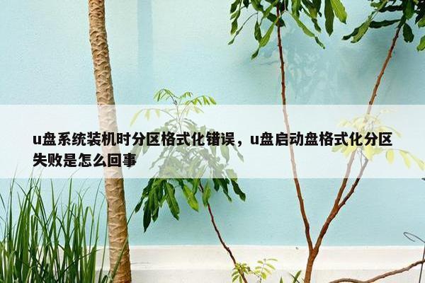 u盘系统装机时分区格式化错误，u盘启动盘格式化分区失败是怎么回事