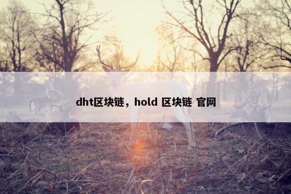 dht区块链，hold 区块链 官网