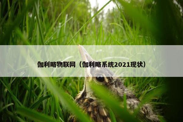 伽利略物联网（伽利略系统2021现状）