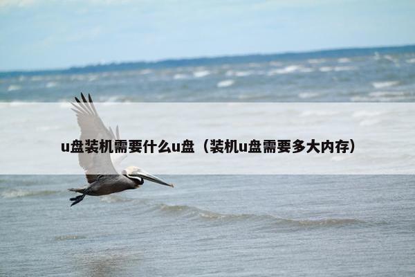 u盘装机需要什么u盘（装机u盘需要多大内存）
