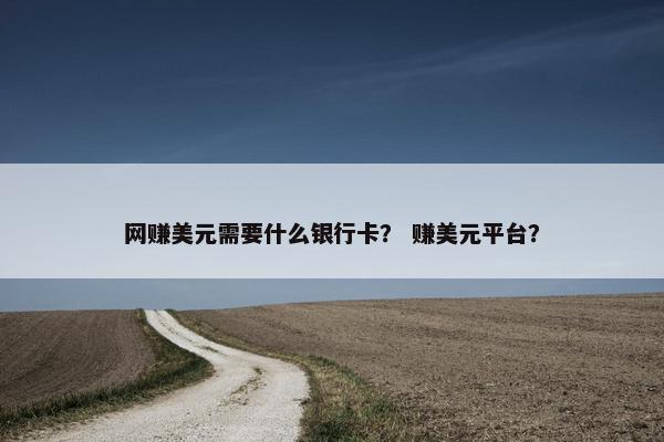 网赚美元需要什么银行卡？ 赚美元平台？