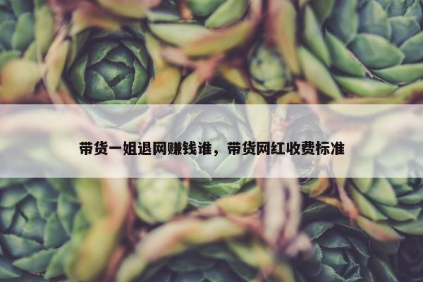 带货一姐退网赚钱谁，带货网红收费标准