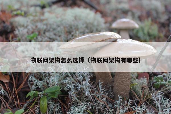 物联网架构怎么选择（物联网架构有哪些）