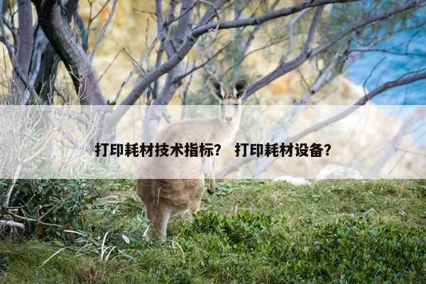 打印耗材技术指标？ 打印耗材设备？