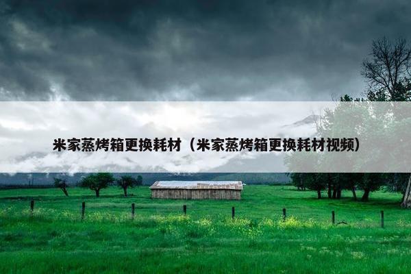 米家蒸烤箱更换耗材（米家蒸烤箱更换耗材视频）