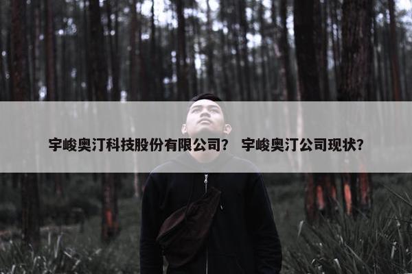 宇峻奥汀科技股份有限公司？ 宇峻奥汀公司现状？