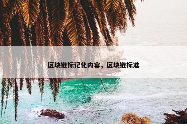 区块链标记化内容，区块链标准