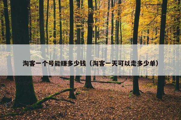淘客一个号能赚多少钱（淘客一天可以走多少单）