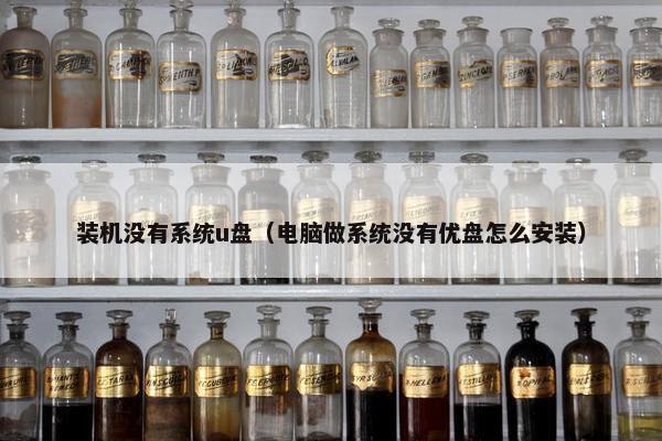 装机没有系统u盘（电脑做系统没有优盘怎么安装）