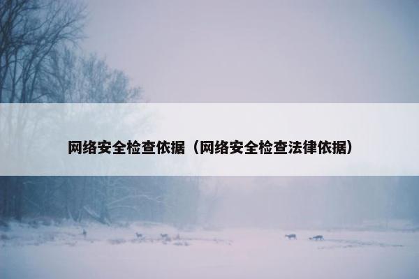 网络安全检查依据（网络安全检查法律依据）