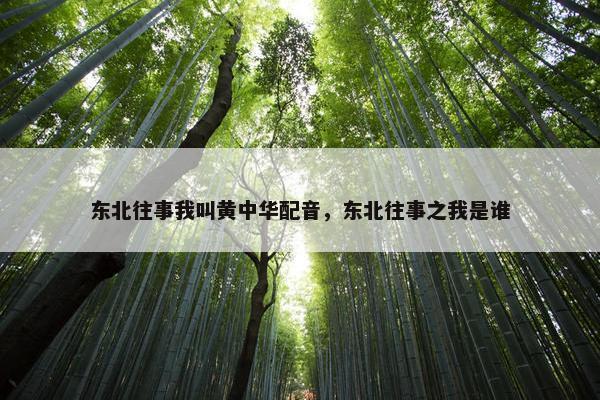 东北往事我叫黄中华配音，东北往事之我是谁