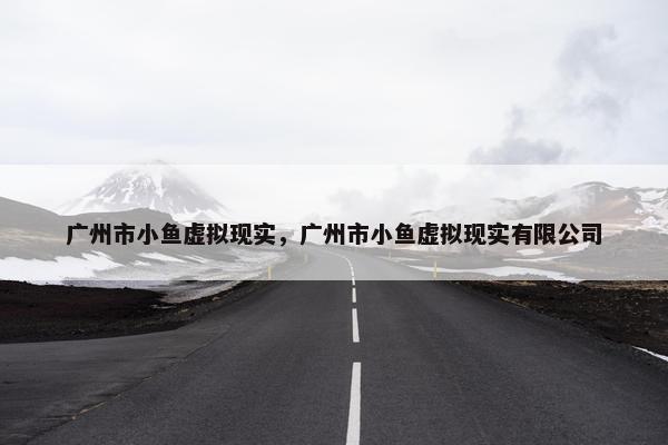 广州市小鱼虚拟现实，广州市小鱼虚拟现实有限公司