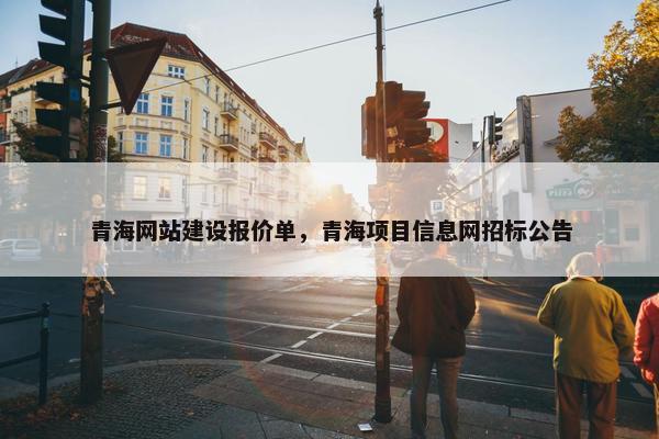 青海网站建设报价单，青海项目信息网招标公告