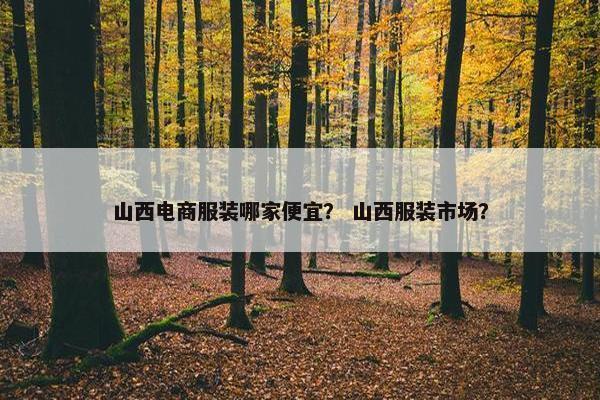 山西电商服装哪家便宜？ 山西服装市场？