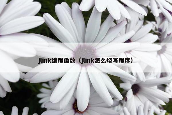 jlink编程函数（jlink怎么烧写程序）