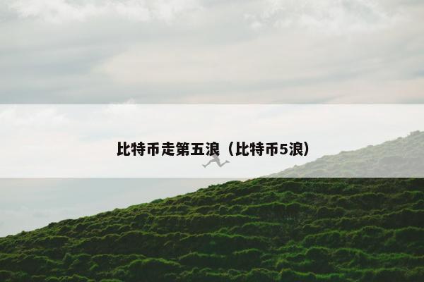 比特币走第五浪（比特币5浪）