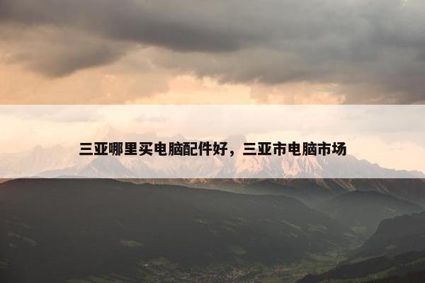 三亚哪里买电脑配件好，三亚市电脑市场