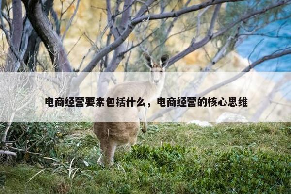 电商经营要素包括什么，电商经营的核心思维