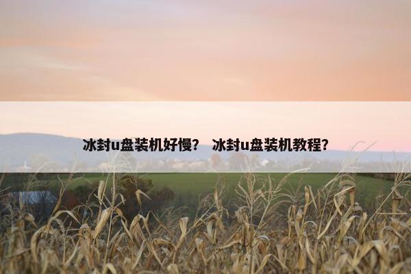 冰封u盘装机好慢？ 冰封u盘装机教程？