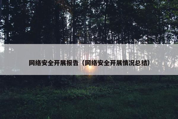 网络安全开展报告（网络安全开展情况总结）