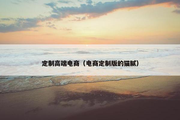 定制高端电商（电商定制版的猫腻）