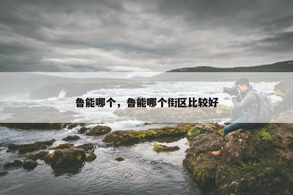 鲁能哪个，鲁能哪个街区比较好