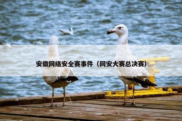安徽网络安全赛事件（网安大赛总决赛）