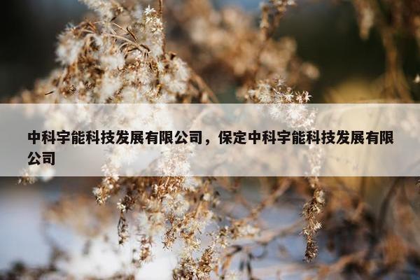 中科宇能科技发展有限公司，保定中科宇能科技发展有限公司
