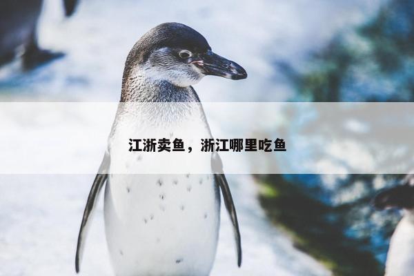 江浙卖鱼，浙江哪里吃鱼