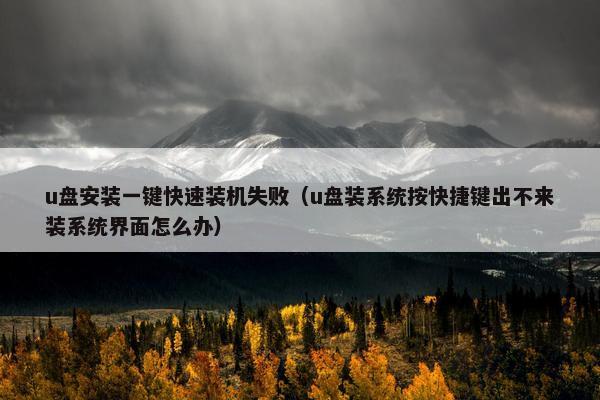 u盘安装一键快速装机失败（u盘装系统按快捷键出不来装系统界面怎么办）