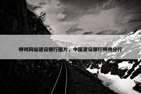 柳州网站建设银行图片，中国建设银行柳州分行