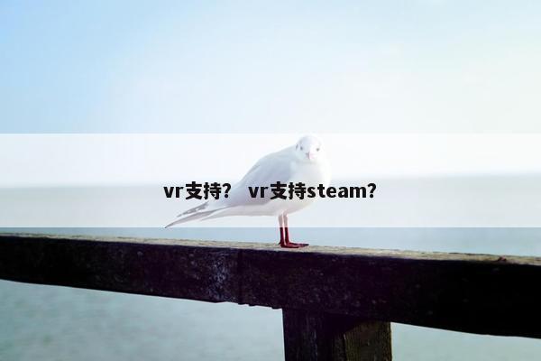 vr支持？ vr支持steam？