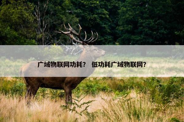 广域物联网功耗？ 低功耗广域物联网？