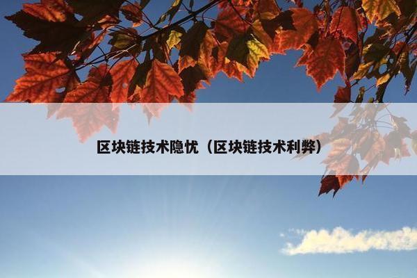 区块链技术隐忧（区块链技术利弊）