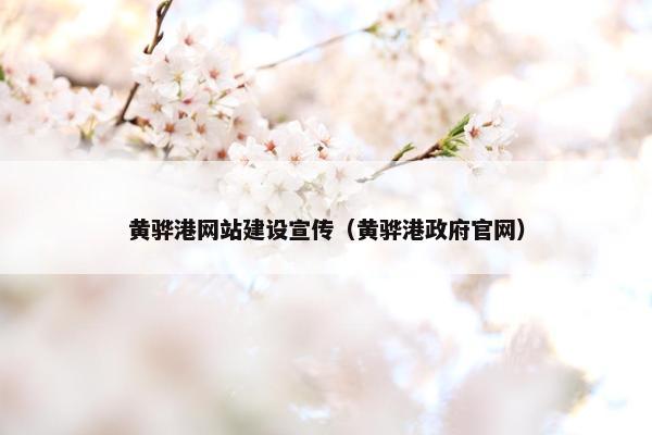 黄骅港网站建设宣传（黄骅港政府官网）