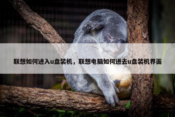 联想如何进入u盘装机，联想电脑如何进去u盘装机界面