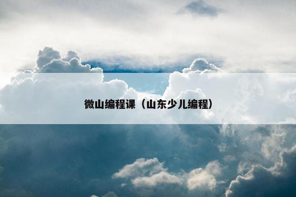 微山编程课（山东少儿编程）